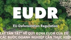 Tư vấn lập hồ sơ xuất khẩu theo quy định EUDR